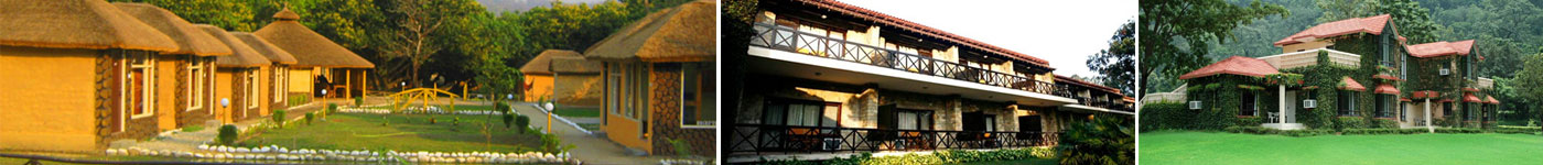 jim corbett conference hall resort-jim corbett national park