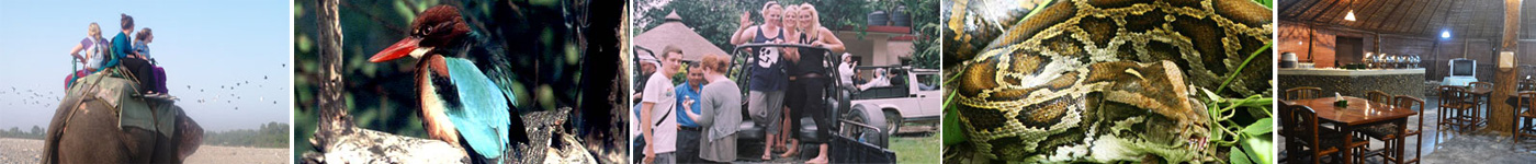 jim corbet girls only educational tours