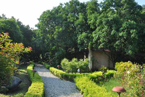 yoga, meditation package jim corbett park