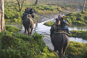 destination wedding in jim corbett under 10 lakhs